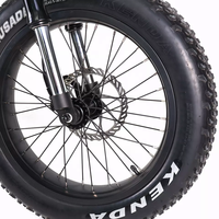 Gros pneu vélo électrique adulte personnalisé vélo électrique à vitesse rapide double Suspension e-bike