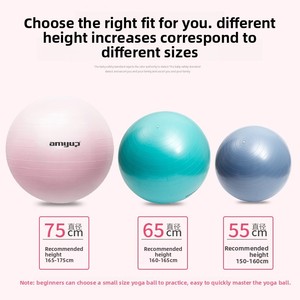 Ballon de yoga rond en PVC épaissi anti-explosion 55 cm pour exercices prénatals, Pilates et entraînement des enfants - Product Image 3