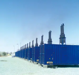 Industrial Outdoor Clustered Power Plant Flexible Adjusting Capacity