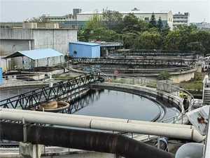 แบคทีเรียกำจัดกำมะถันและกำจัดกลิ่นในน้ำเสียความเข้มข้นสูงจากปศุสัตว์และสัตว์ปีก BioPower400 - Product Image 6