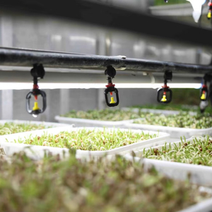 Contenedor de Envío de Acero Inoxidable de 40HQ para Granja Hidropónica, Invernadero, Sistema de Cultivo Vertical, Máquina para Producción de Forraje y Planta - Product Image 1