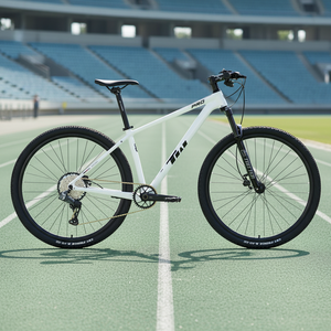 Nouveau kit de transmission électronique pour VTT de descente en fibre de carbone 2026 Wheeltop 12 vitesses, pédale classique style <span class=keywords><strong>vintage</strong></span> - Product Image 1