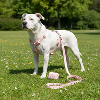 Collier et laisse pour chien personnalisés en PVC, super doux, solides, populaires, OEM, durables, imperméables, harnais pour chien – Vente en gros