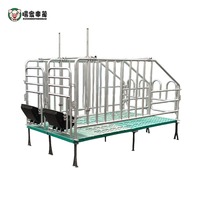 Équipement d'élevage de porcs galvanisé à chaud, cages de gestation pour truies, cages à porcs