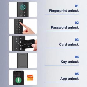Serrure intelligente TTLOCK, <span class=keywords><strong>prix</strong></span> d'usine, OEM ODM, WiFi intelligent, BLE, empreinte digitale, étanche, acier inoxydable, aluminium, bois, serrure de porte intelligente, serrure étroite - Product Image 2