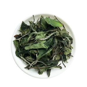 High Quality Wholesale Organic Tea Special White Tea Loose Leaf Dazhangshan White Tea