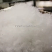 Vente en gros de plumes de duvet de canard blanc brut et lavable pour oreiller/couette comme matériau de remplissage