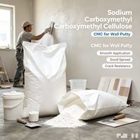Éther de cellulose HPMC de qualité industrielle, pureté 92 %, CAS 9004-34-6, emballage personnalisé pour revêtements, peintures, produits alimentaires et pharmaceutiques