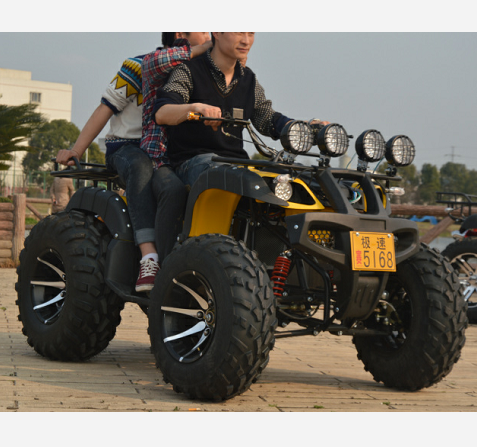 Взрослые газовые четырехколесные ATV 250cc 4x4 производитель