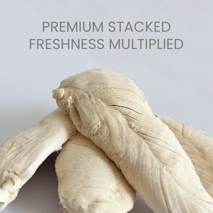 100% pechuga de pollo entera liofilizada natural OEM ODM alta proteína baja en grasa alimentos para mascotas golosinas para perros y gatos - Product Image 4