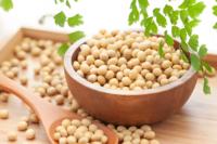 Poudre de peptide de soja hydrolysée isolée de qualité OEM pour les boissons fonctionnelles et les produits nutraceutiques