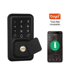 American Customized PCBA Econormical TUYA Digital Smart Keyless Number Anti-peep Touchpad Wrong-try Alarm Deadbolt Lock Safe