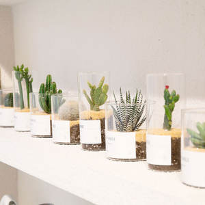 <span class=keywords><strong>Transparent</strong></span> Simple Cylindre Grand Clair <span class=keywords><strong>Fleur</strong></span> Vase <span class=keywords><strong>En</strong></span> <span class=keywords><strong>Verre</strong></span> Grand Grand Vase <span class=keywords><strong>En</strong></span> <span class=keywords><strong>Verre</strong></span> Clair Pour Le Mariage - Product Image 1