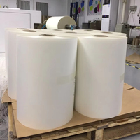 Impresión de doble cara Hot Peel A3 A3 + A4 30cm 33cm 43cm 60cm tamaño de rollo de película PET para impresora Epsn 4720 I1600 I3200 DX5 DX7 Dtf