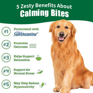 Masticables Suaves Calmantes para la <span class=keywords><strong>Ansiedad</strong></span> por Separación, Suplementos Naturales Suaves para el Cuidado de la Salud de Perros, Masticables Suaves Calmantes - Product Image 5