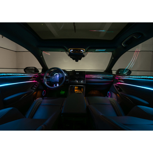 Kit d'éclairage d'ambiance intérieur professionnel pour Avalon 2019-2024, fabricant de lampes LED - Product Image 3
