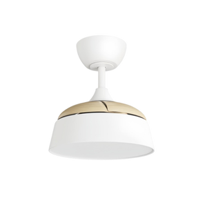 Modern <b>Ceiling</b> Fan <b>Light</b> LED 5000K Warm White Surface Mounted Metal Body <b>Remote</b> <b>Control</b> IP33 2160 Lumens for Living Room 220V - Product Image 1