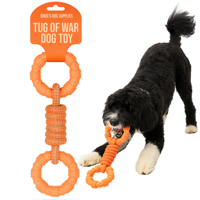Brosse à dents interactive durable et écologique pour petits chiens, outil de nettoyage des dents molaires pour animaux de compagnie, jouets à mâcher pour chiots