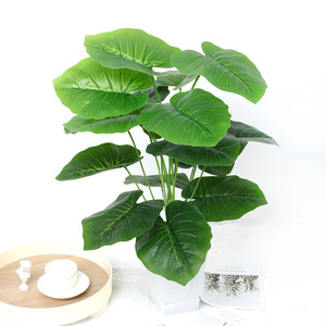 ต้นไม้ประดิษฐ์ในกระถางสไตล์นอร์ดิก ตกแต่งบ้าน <span class=keywords><strong>ใบ</strong></span>มอนสเตอร่า เด<span class=keywords><strong>ล</strong></span>ิซิโอซา และใบโปโธส - Product Image 5