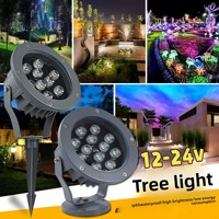 Projecteur LED extérieur en aluminium étanche IP66 DC 12V/24V 6000K Lumière du jour CRI80 Angle de faisceau 120° pour jardin, aménagement paysager et arbres