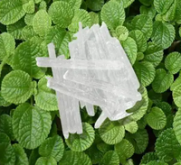 Poudre en cristal de menthol d'extrait de plante naturelle chinoise pour le menthol soluble dans l'eau de sucrerie de menthol
