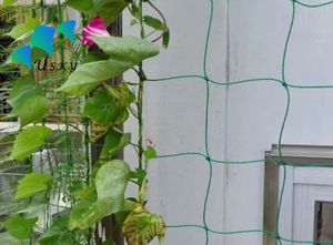 Jaring Teralis Tanaman Memanjat <span class=keywords><strong>Pe</strong></span>, Jaring Pendukung, Jaring Tomat Pertanian - Product Image 4