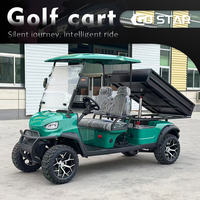 Carrito de Golf de 2 Pasajeros Equipado con Batería de Plomo-Ácido, Plataforma de Carga Grande, Vehículo de Doble Uso para Pasajeros y Carga, Ideal para Villas y Parques