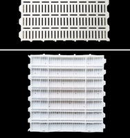 Plancher en plastique à lattes pour poulets, couleur blanche, pour élevage avicole, équipement avicole