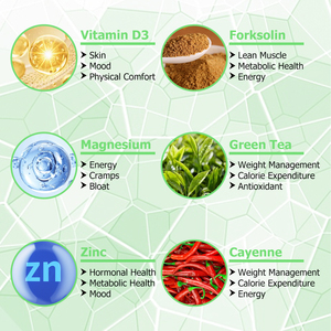 Private Label Hormone Balance Weight Support Capsules Control Cravings Boost Metabolism Promote Digestion Enhance Vitality - Product Image 4