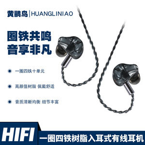 Creative Resin HiFi In-Ear <b>Wired</b> Headphones 20Hz-20KHz Dynamic Balanced Armature Drivers Stage Karaoke Gaming - Product Image 5