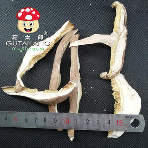 सूखे शीटाक मशरूम कटा हुआ (5 मिमी) मशरूम स्ट्रिप्स निर्यात लाइसेंस कंपनियों को शिटेक मशरूम - Product Image 5