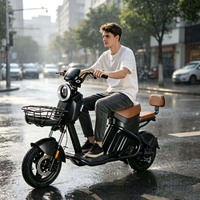 Vente directe d'usine. Moteur de vélo électrique haute vitesse 48V 800W. Capteur numérique. Vélo à pédales à batterie au plomb. Mini vélo électrique urbain pour femmes
