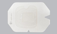 Securefix CHG Gluconate de chlorhexidine (CHG) I.V. Fixation de cathéter et pansement