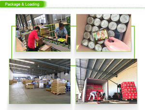 2025 giá cả cạnh tranh toàn bộ đóng hộp đóng hộp Vải Thiều khác nhau có thể kích thước mùa Trung Quốc bán buôn nhà máy với bảo quản xi-rô quá trình - Product Image 6