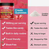 Gummies de Créatine Monohydrate 5600mg Sans Sucre Croissance Musculaire Performance Végétalien OEM Marque Privée 120 Unités