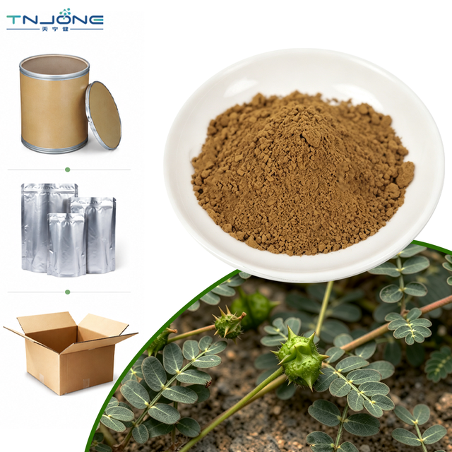 Bulk Supplement Ingredient Tribulus Terrestris Extract Powder 40% 50% 90% Saponins Tribulus Terrestris Extract in Stock