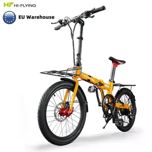 Elektrische Fiets 20 "Vouwfiets 36V 7ah Lithium Ion Samsung Batterij Elektrische Fiets Te Koop