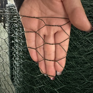 Bán Hot Lục Giác Gà Coop Dây Lưới Cuộn Dây Sắt Lưới Cho Gia Cầm Lồng Thỏ Cảnh Quan Bảo Vệ Tùy Chỉnh Cắt - Product Image 5