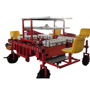Machine à repiquer les légumes commerciale, entraînée par un tracteur, pour la plantation de semis d'oignons - Product Image 4