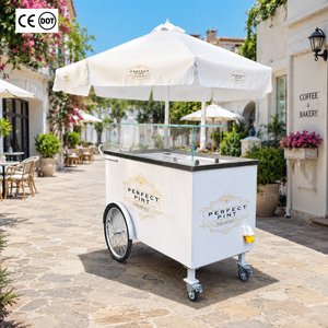 Carrito de Helados Mini con Sombrilla, de Empuje Manual, para Bebidas Frías, Jugos y Café, con Tercera Rueda, Tamaño Personalizado - Product Image 1