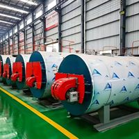 Chaudière à vapeur horizontale entièrement automatique à circulation naturelle basse de la série WNS, 1t/h, au gaz ou au mazout, 0,7 MPa, pour l'industrie alimentaire