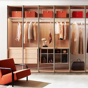 定制卧室简约现代便携式玻璃门衣柜储物柜设计带悬挂式整理器