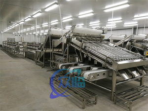 Máquina Automática para Clasificar Camarones, Pelar Camarones, Lavar Langostinos Frescos, Máquina de Clasificación por Rodillos, Clasificadora de Camarones - Product Image 2