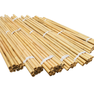 Caña de bambú de tamaño personalizado para plantas de Jardinería y Construcción - Product Image 3