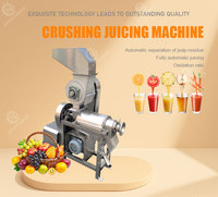 Industriële sapcentrifuge met grote capaciteit, motor en anti-verstopping crushstructuur voor de verwerking van hoogvezelrijke fruit- en groenteproducten