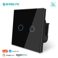 Filo neutro e filo singolo UK 2 Gang controllo vocale Smart WIFI Switch con Alexa e Google Home light switch