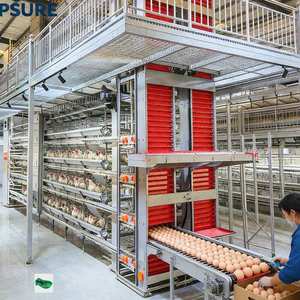 Machine de nettoyage automatique pour poulailler en cage pour poules pondeuses, <span class=keywords><strong>prête</strong></span> pour les commandes en gros, poulaillers préfabriqués <span class=keywords><strong>à</strong></span> vendre - Product Image 1