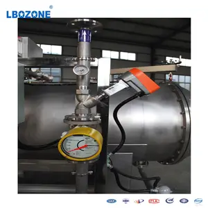 Industrial 60G/H O3 Swimming Pool Generator Ozone Water System Treatment