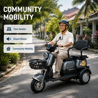 Listrik penumpang sepeda roda tiga 800W torsi tinggi Motor diam 2 tempat duduk listrik tiga roda untuk resor wisata Transportasi
