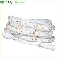 Lampu Strip LED Fleksibel RGBW DC 12V 5050 5m 96 LED/m IP33 6000K Tembaga dengan Kontrol Suara USB/Wi-Fi